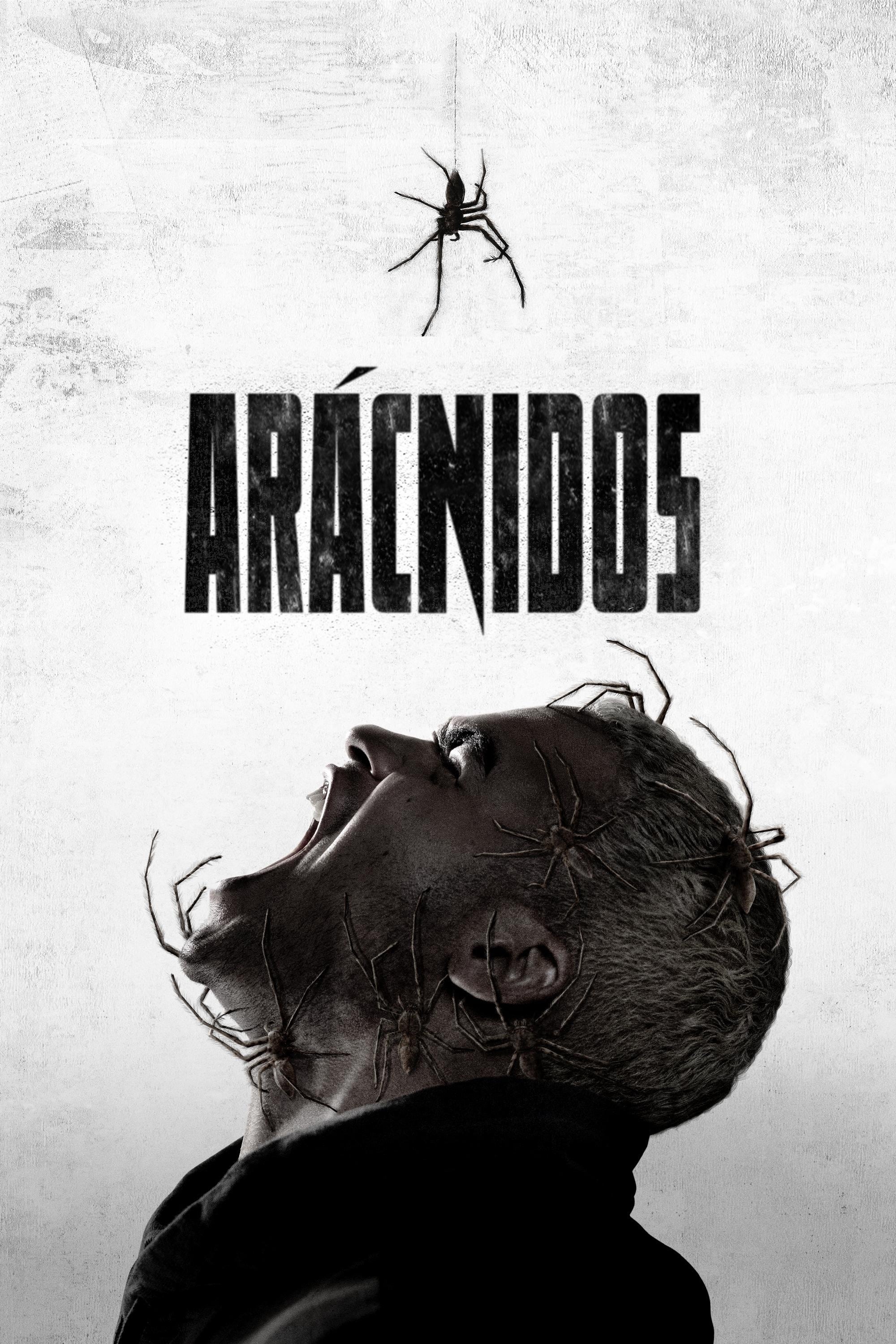 Arácnidos