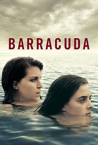 Barracuda