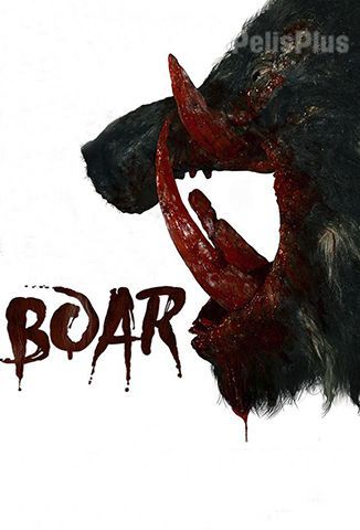 Boar