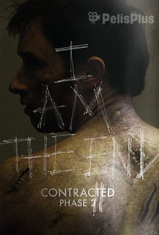 Contracted: Phase II