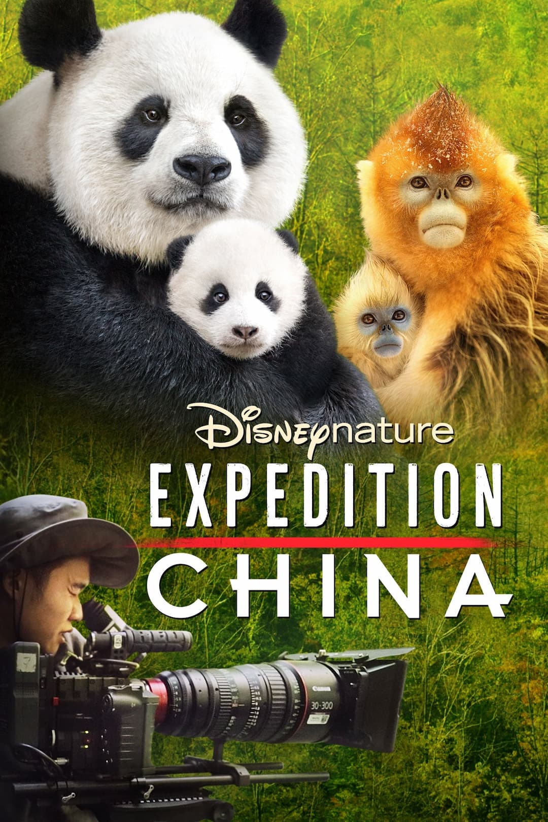 Expedición a China