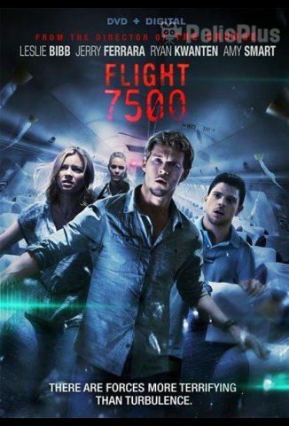 Flight 7500