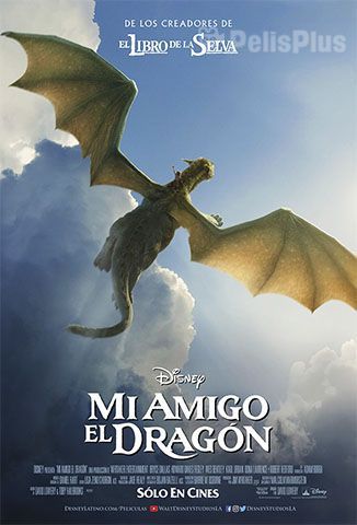 Mi amigo el dragón