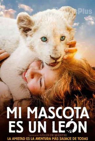 Mi mascota es un león