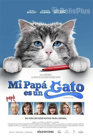 Mi papá es un gato