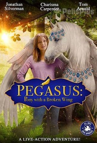 Pegasus: Pony With a Broken Wing