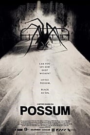 Possum