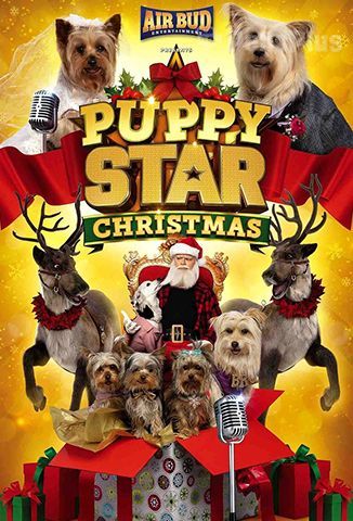 Puppy Star Christmas