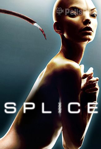 Splice: Experimento Mortal