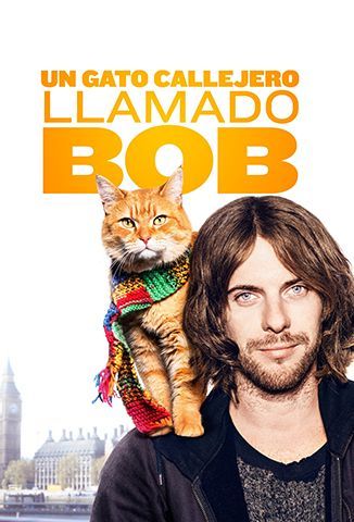 Un gato callejero llamado Bob